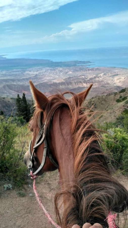 Guesthouse Bermet Tong Dış mekan fotoğraf